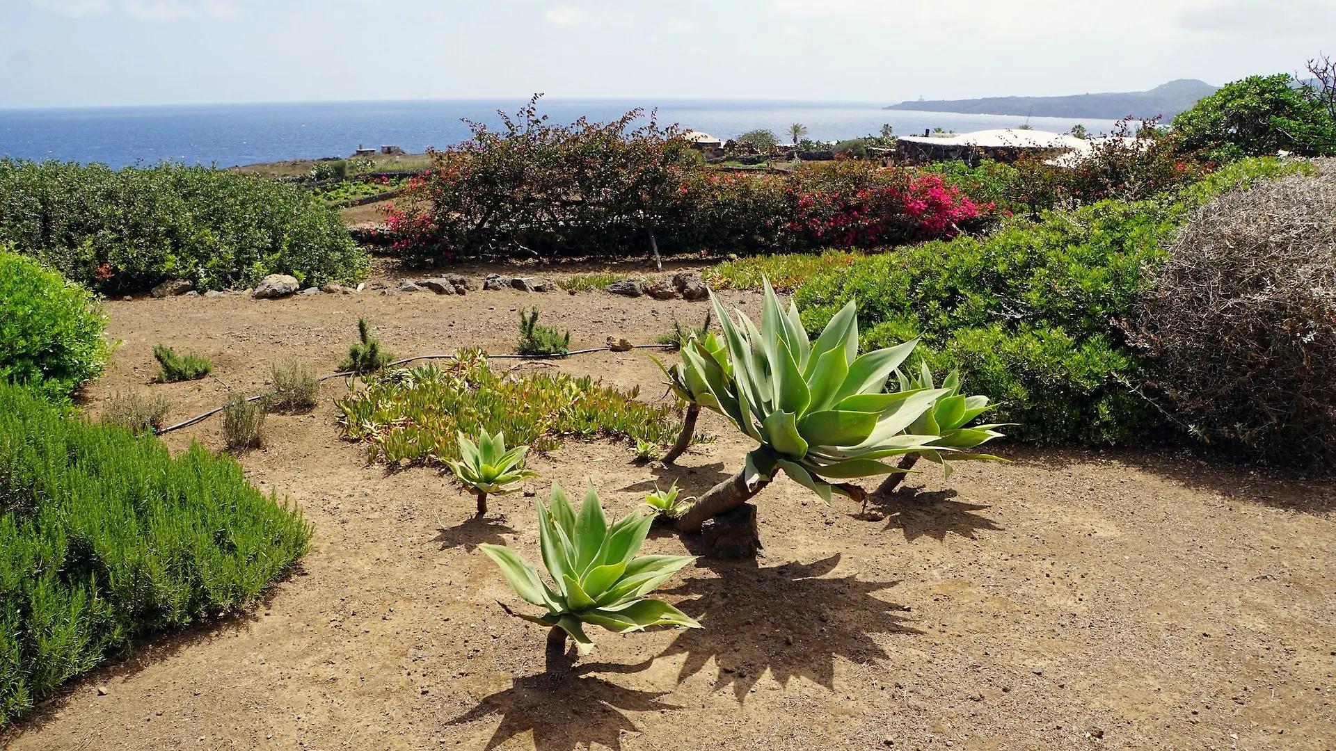 Willa Dammusi I Jardina Campobello